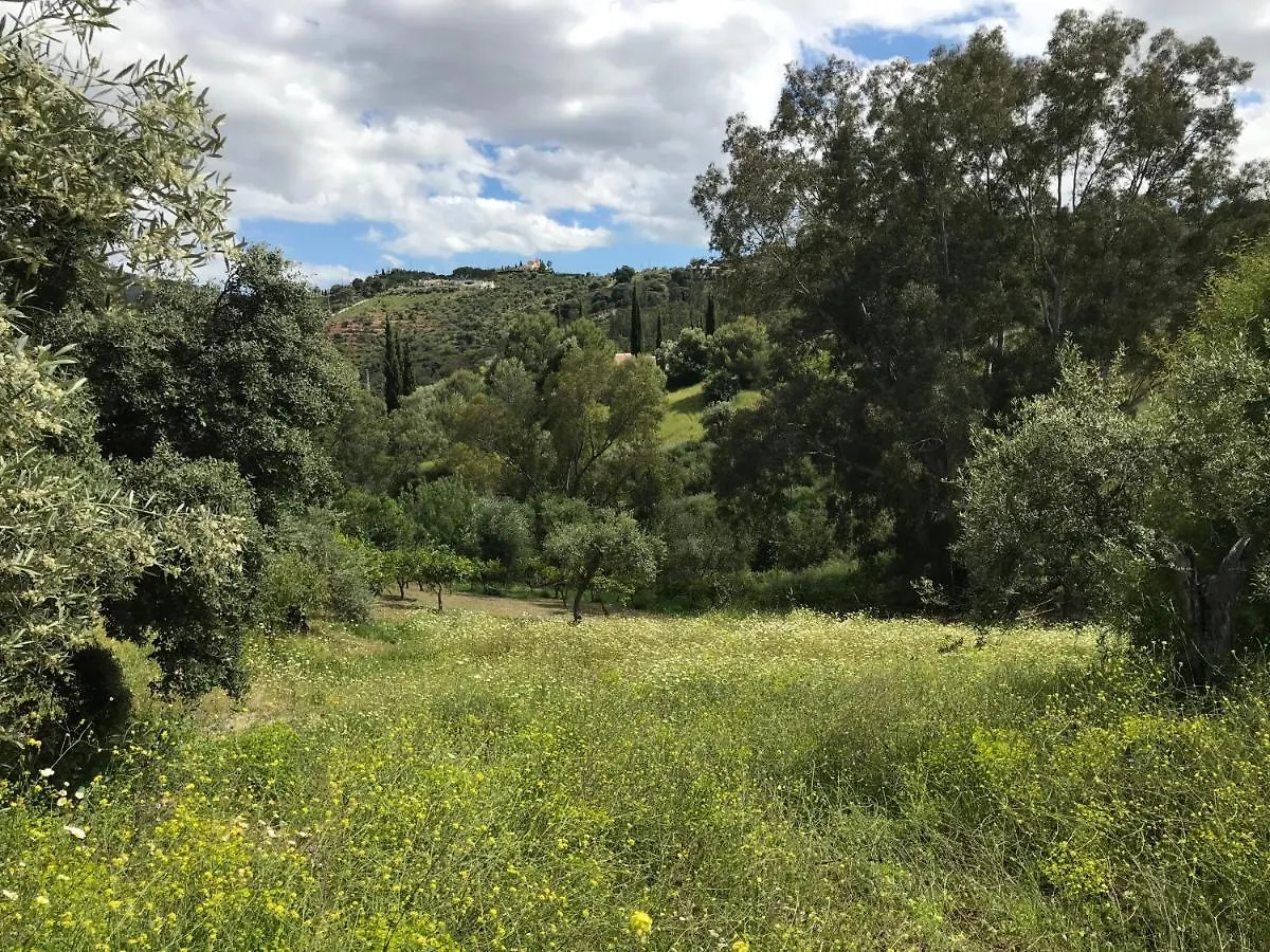 Studio Views Apartment, Cortijo Fruitful Hills Malaga 0*,  Spain