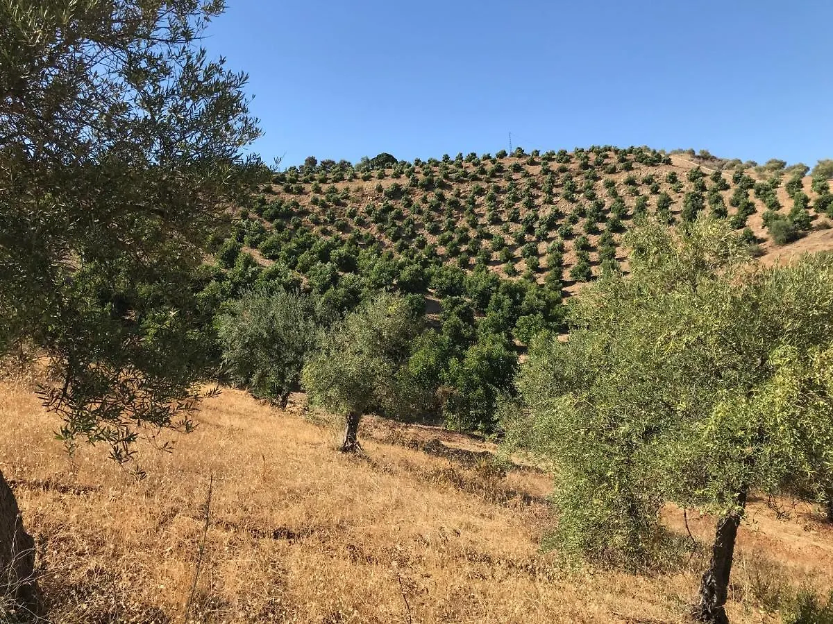 Studio Views Apartment, Cortijo Fruitful Hills Malaga Apartment